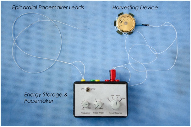 Batteryless cardiac pacemaker