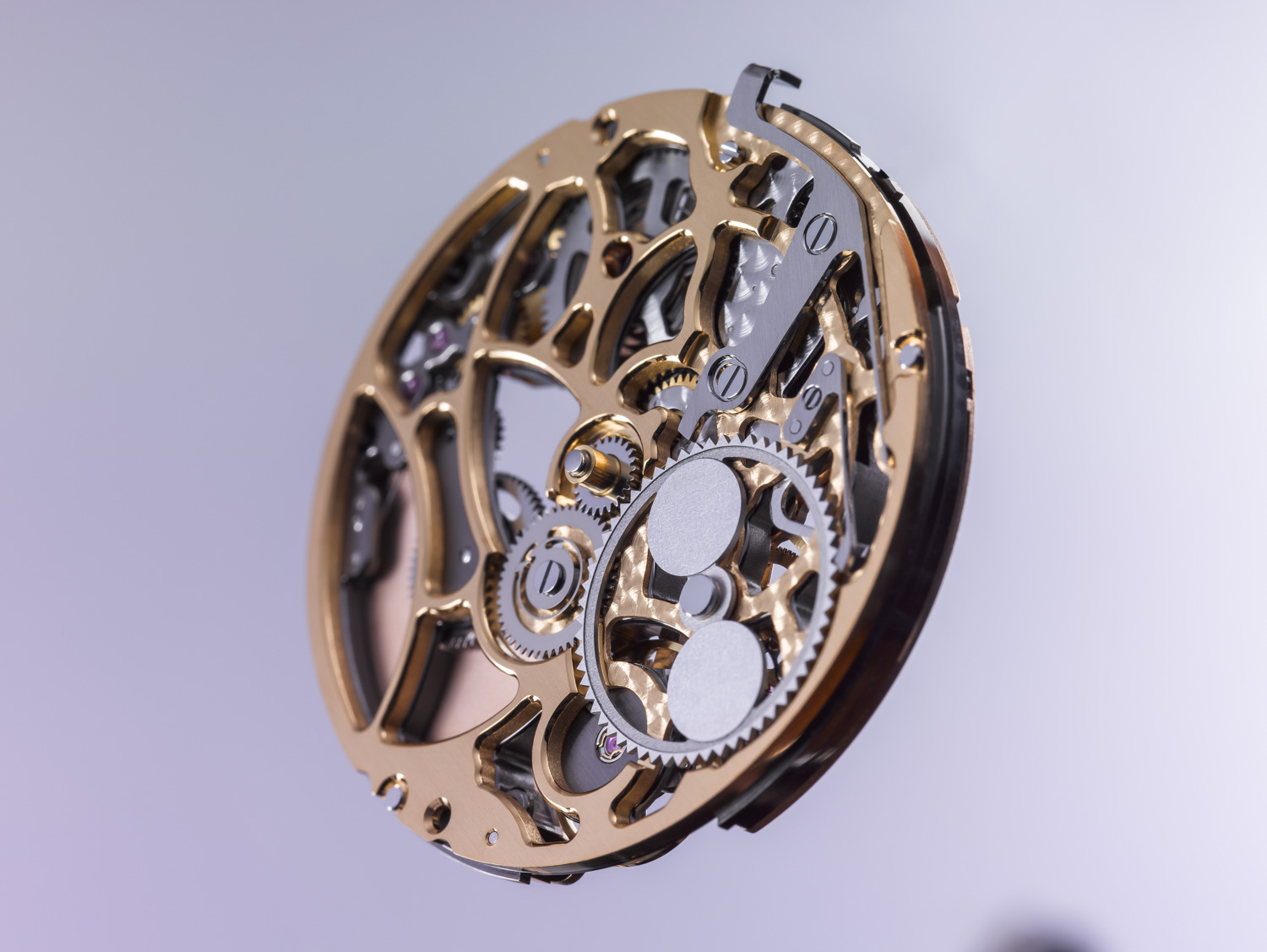 Vaucher Skeleton Openworked movement case study