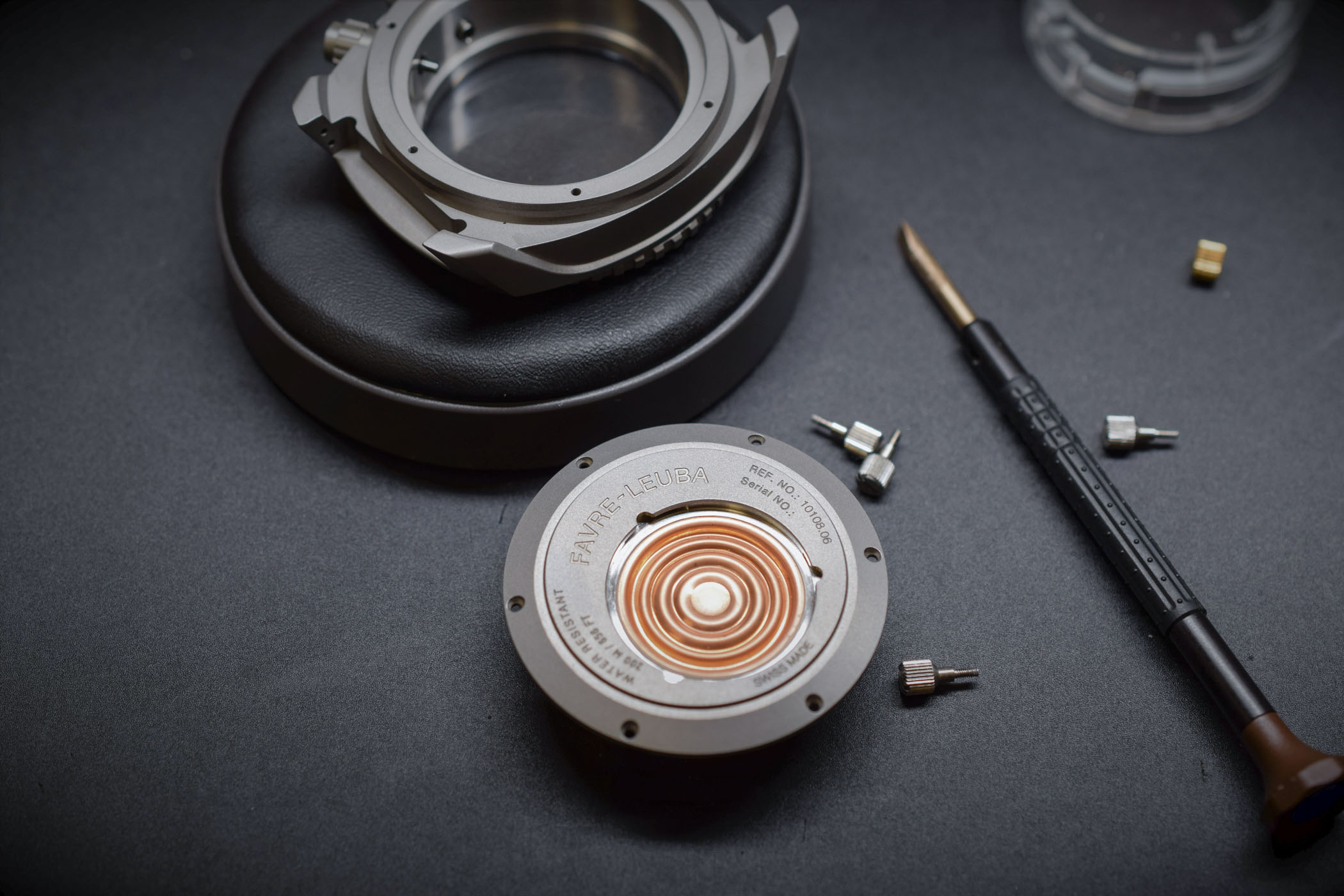 Favre-Leuba-Raider-Bathy-120-MemoDepth - Depth Gauge - 2 Favre-Leuba-Raider-Bathy-120-MemoDepth - Depth Gauge - 2