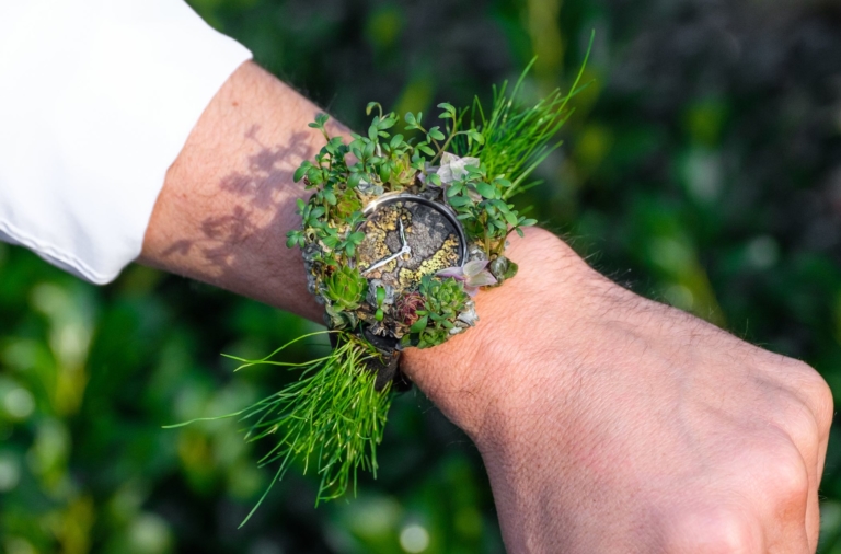 moser nature watch