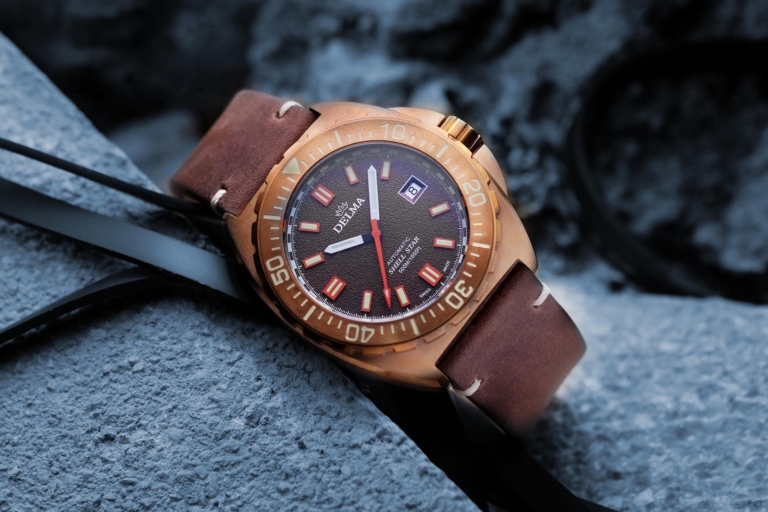Delma Shell Star Bronze Limited Edition