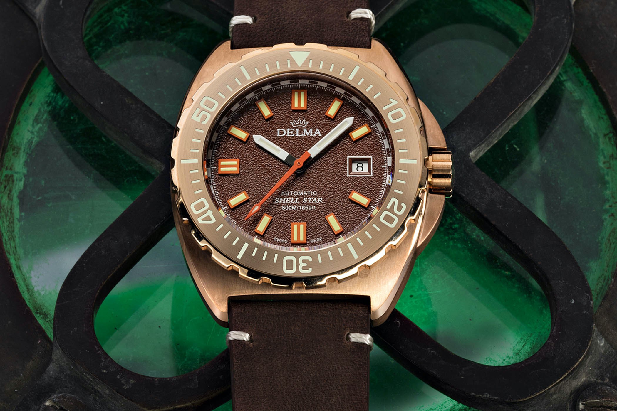 Delma Shell Star Bronze Limited Edition - 5 Delma Shell Star Bronze Limited Edition