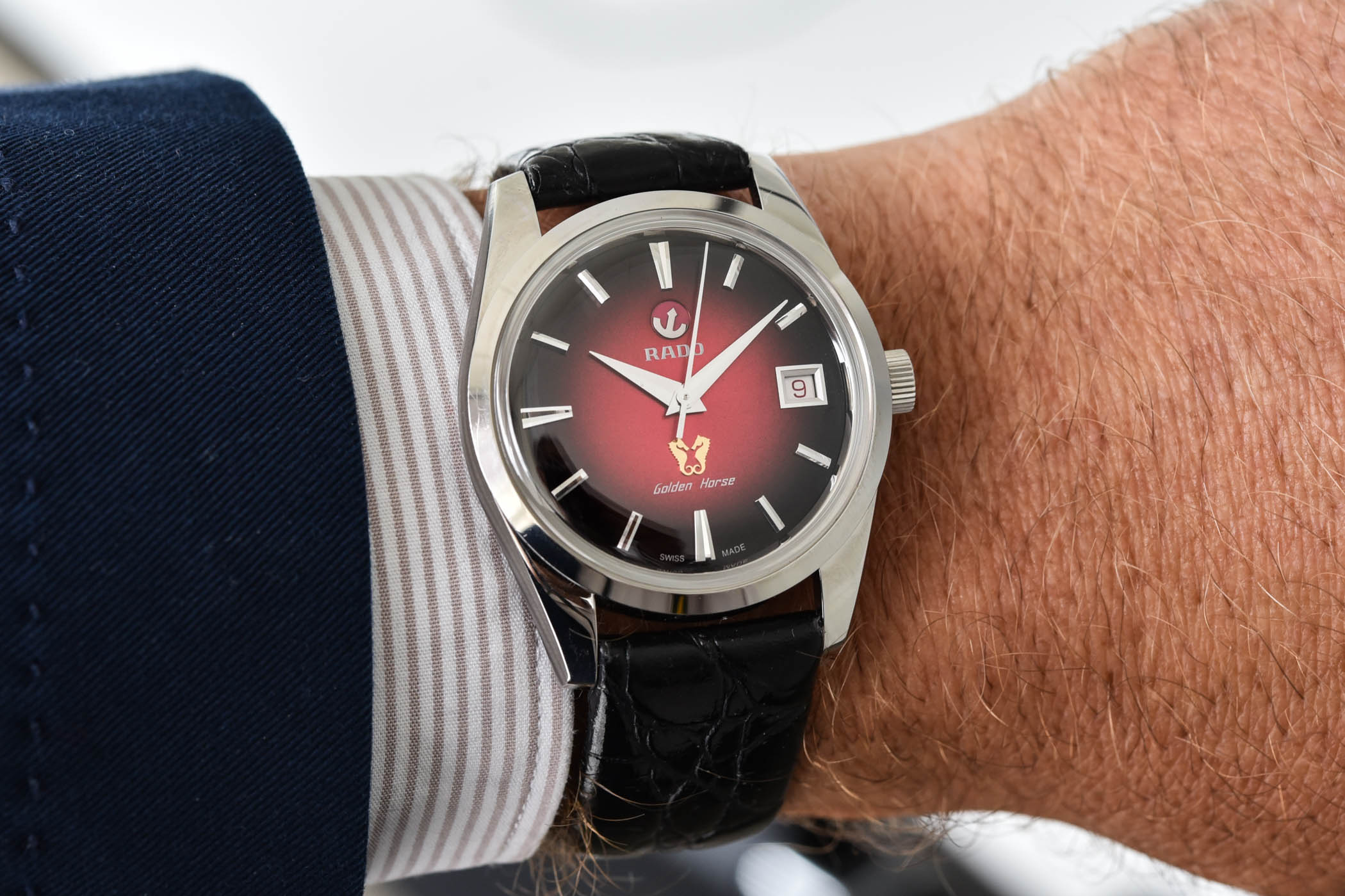 Rado Golden Horse 1957 Limited Editions - hands-on - 4 Rado Golden Horse 1957 Limited Editions