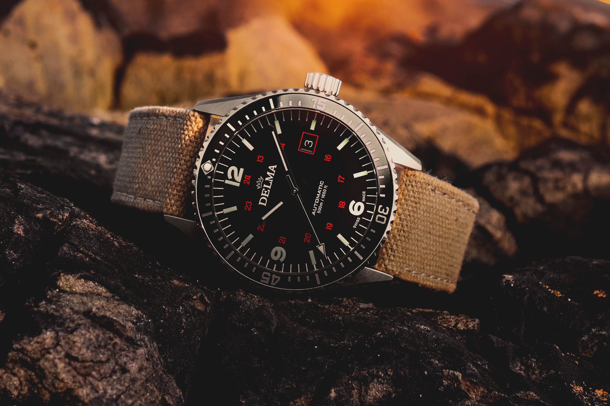 Delma Cayman Field Watch