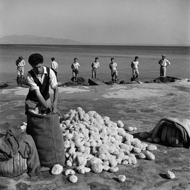 Kalymnian Sponge Divers_19 Kalymnian Sponge Divers_19