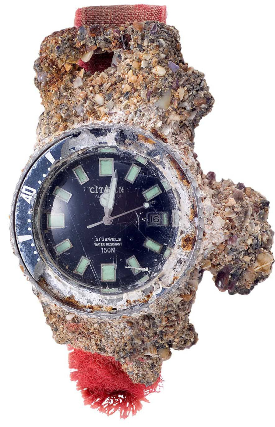 The Barnacle covered 1977 Challenge Diver The Barnacle covered 1977 Challenge Diver