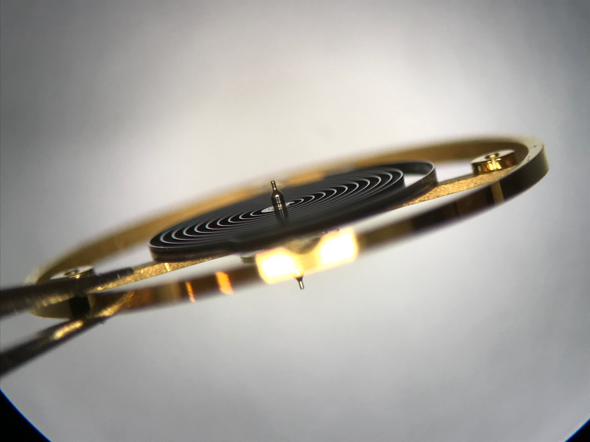 firehouse-silicon-hairspring-1 firehouse-silicon-hairspring-1