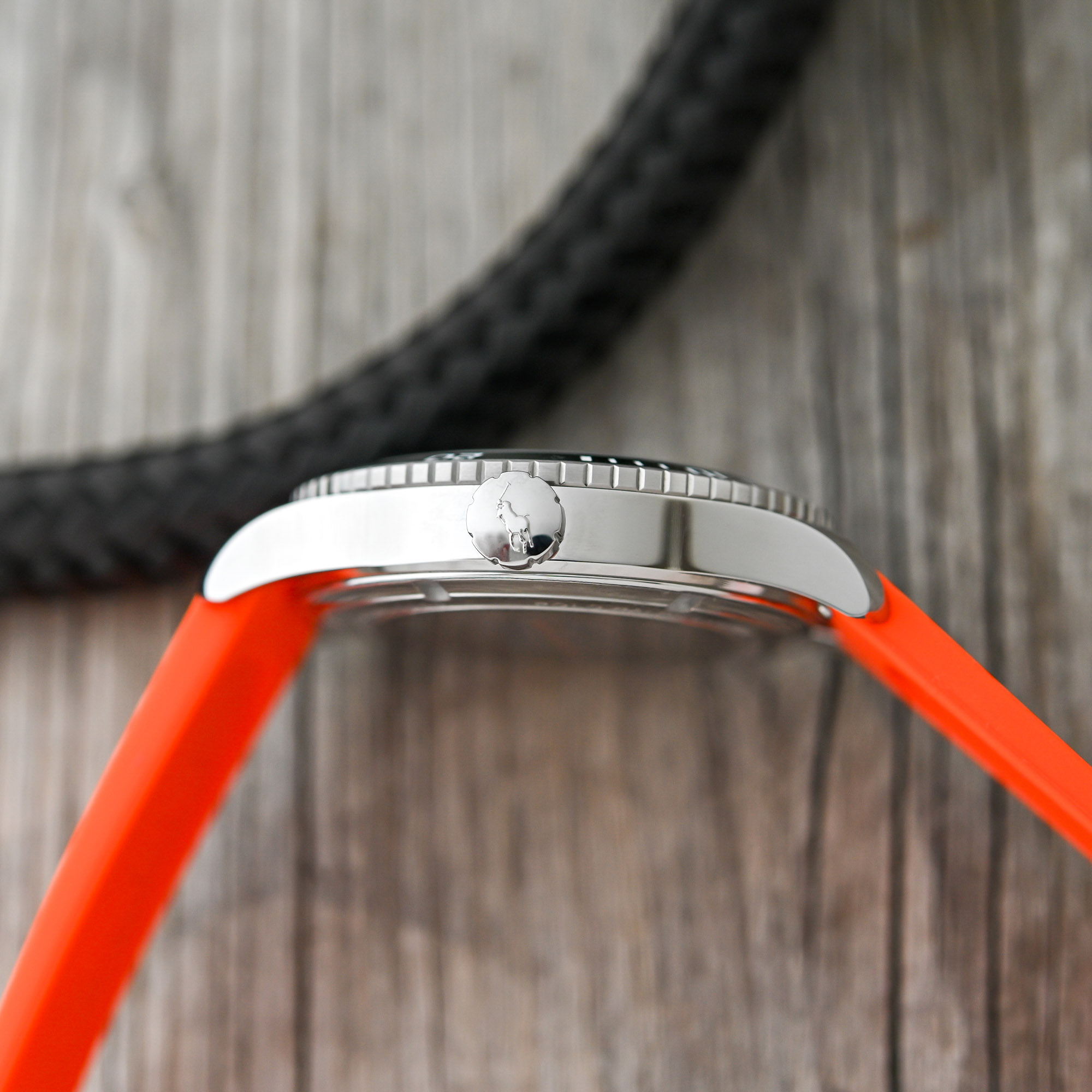 2024 Ralph Lauren Polo Sport Collection Review automatic sporst watch - 8 2024 Ralph Lauren Polo Sport Collection Review automatic sporst watch - 8