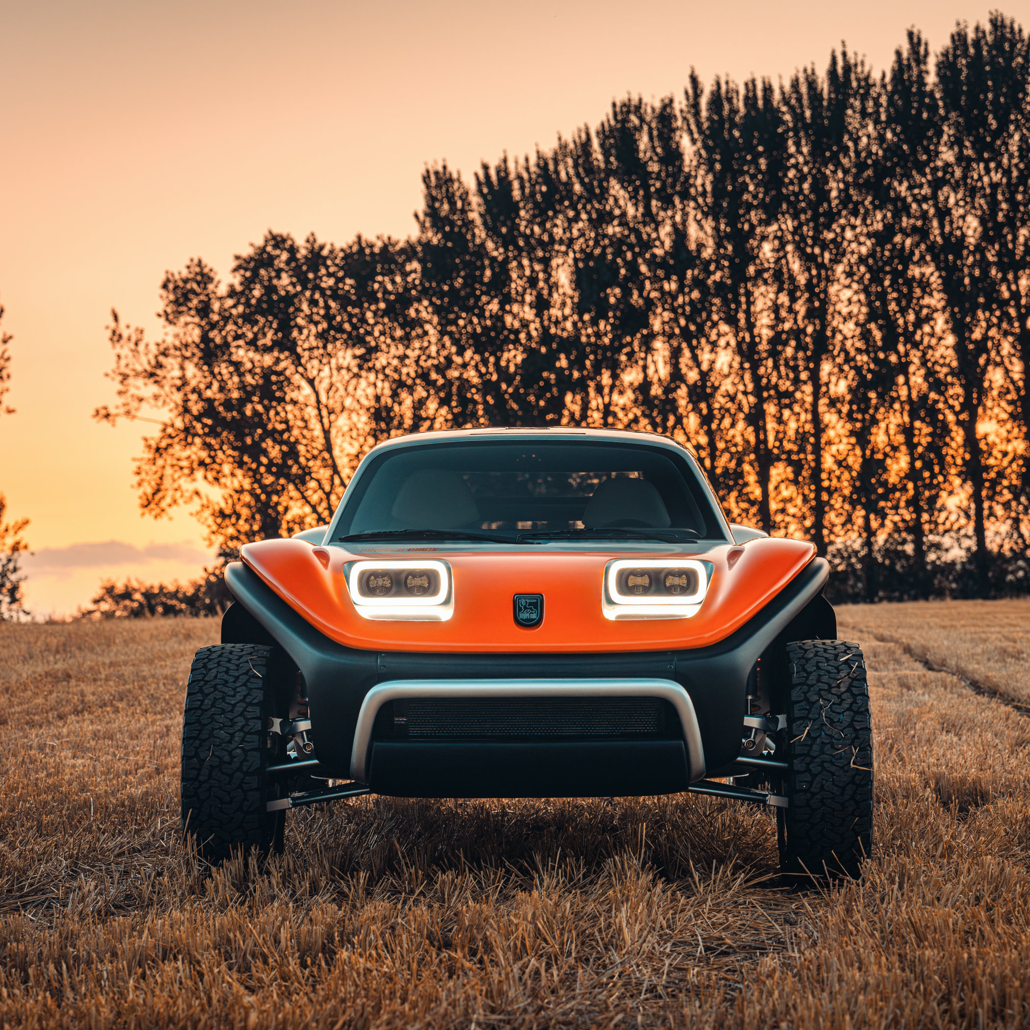 Tuthill x Meyers Manx LFG buggy - 2 Tuthill x Meyers Manx LFG buggy - 2