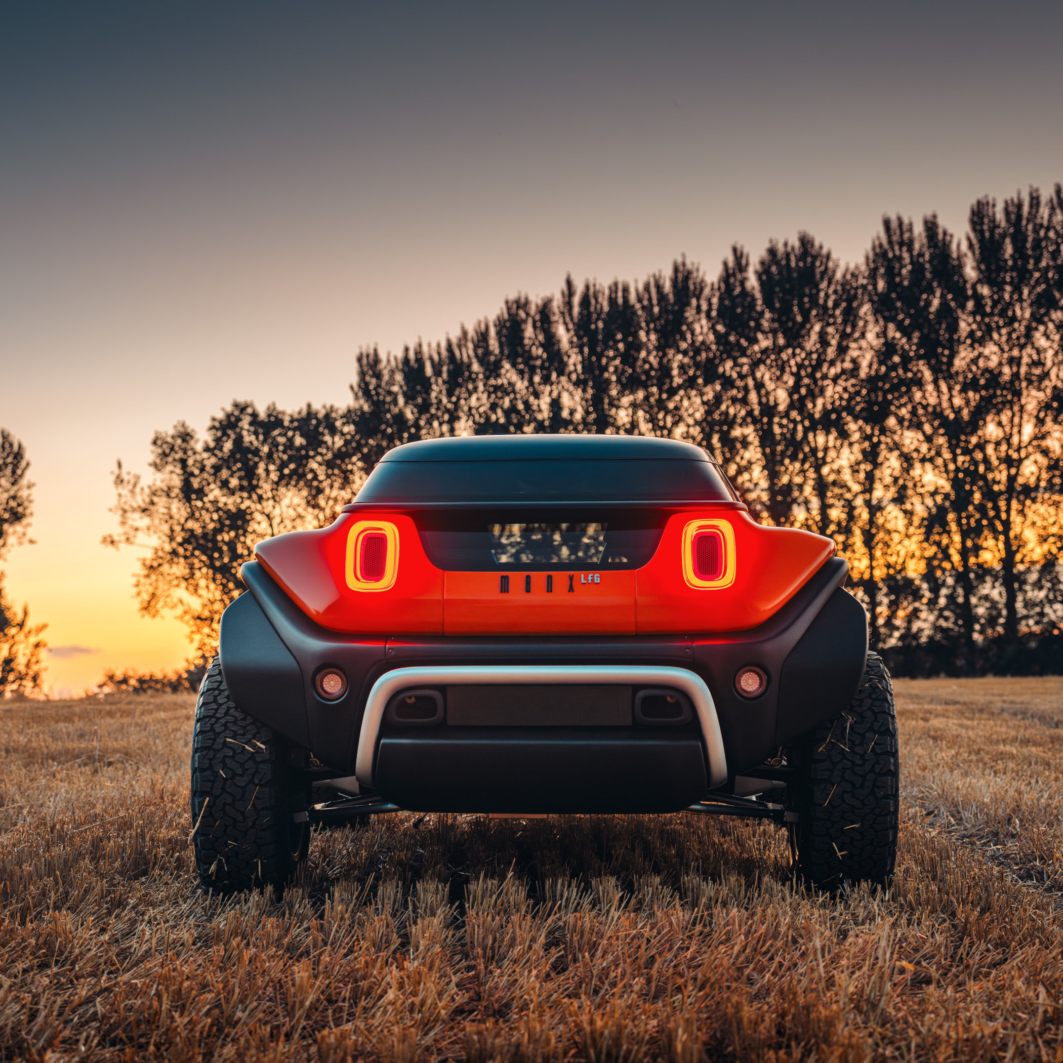 Tuthill x Meyers Manx LFG buggy - 3 Tuthill x Meyers Manx LFG buggy - 3