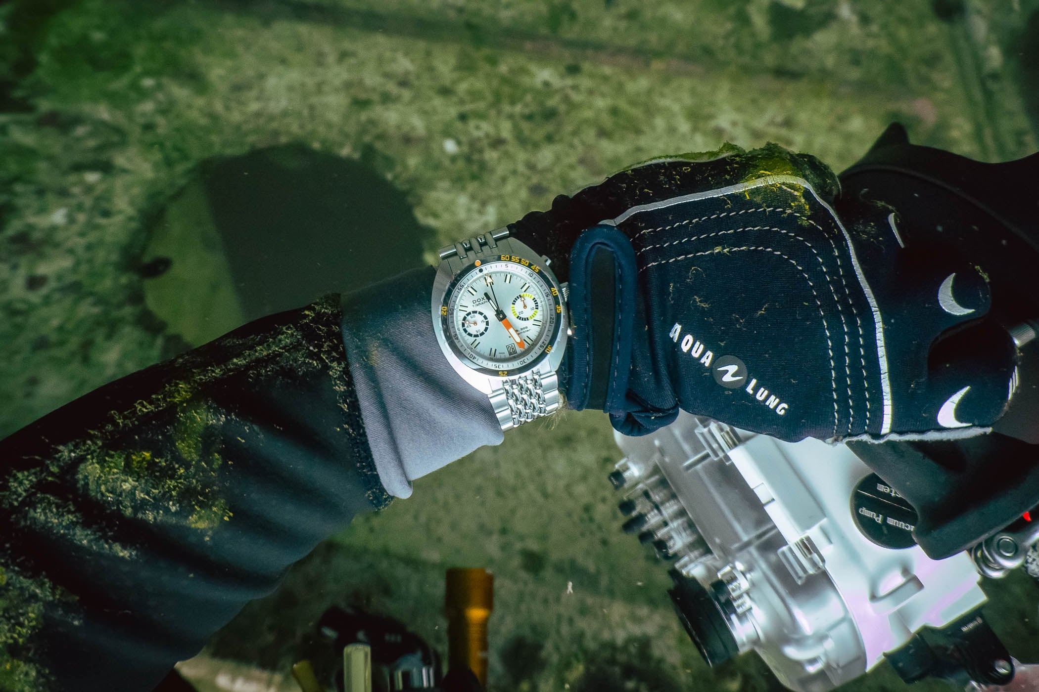 More Than Timekeepers: Diving with Doxa in the Gulf