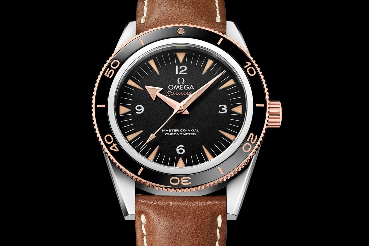 Omega Seamaster 300 Master Co-Axial Chronometer Leather strap - 2