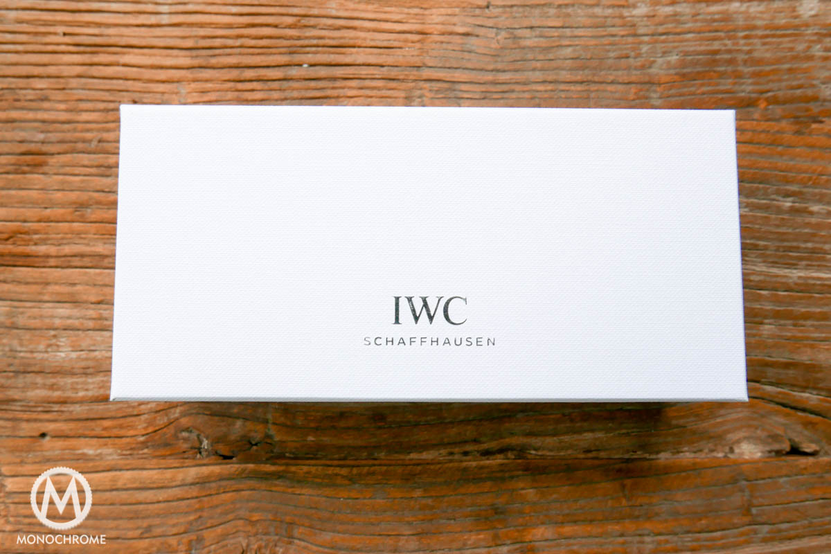 IWC Pilot Glasses by Ray-Ban
