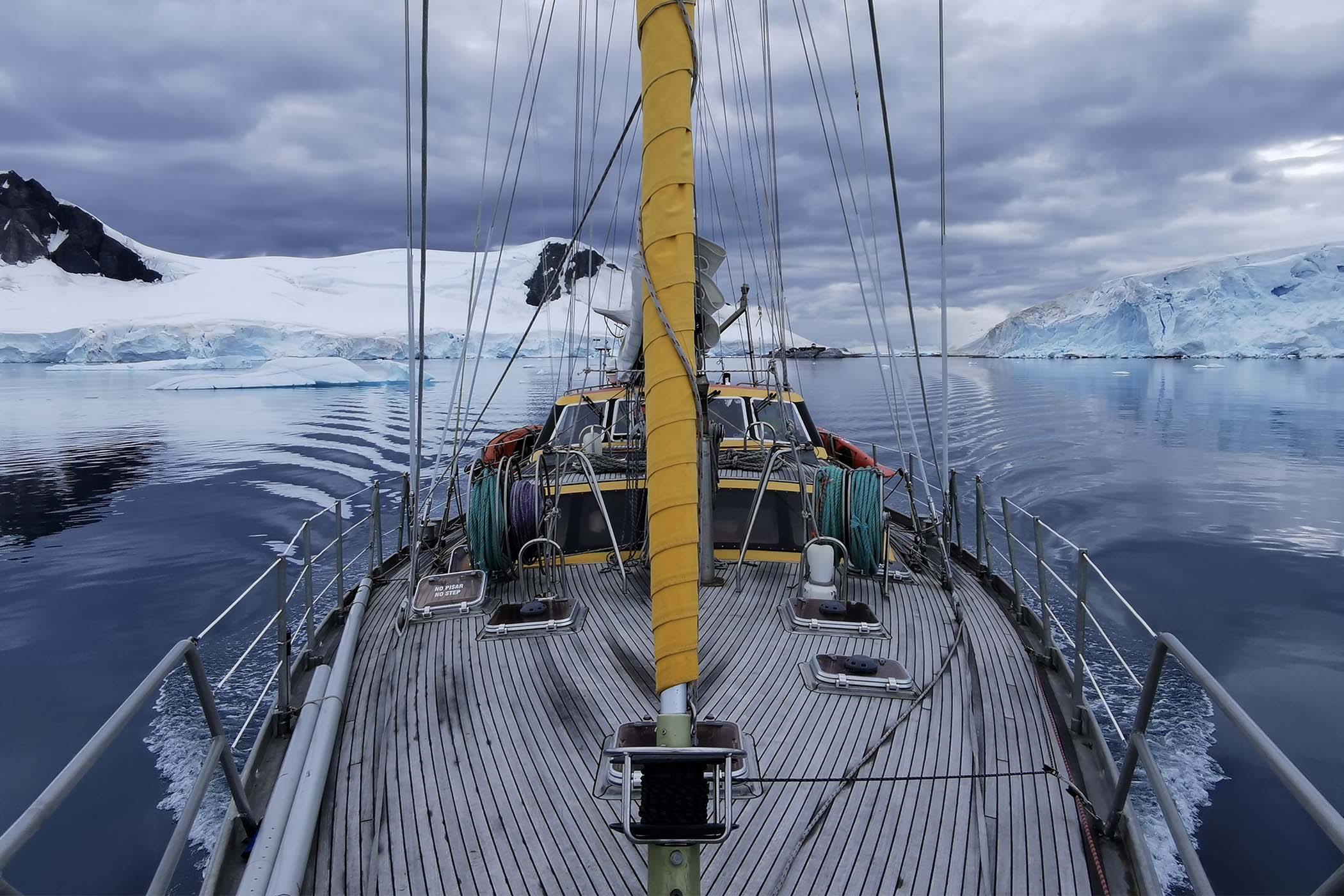 Delma Oceanmaster Antarctica Limited Edition - 9
