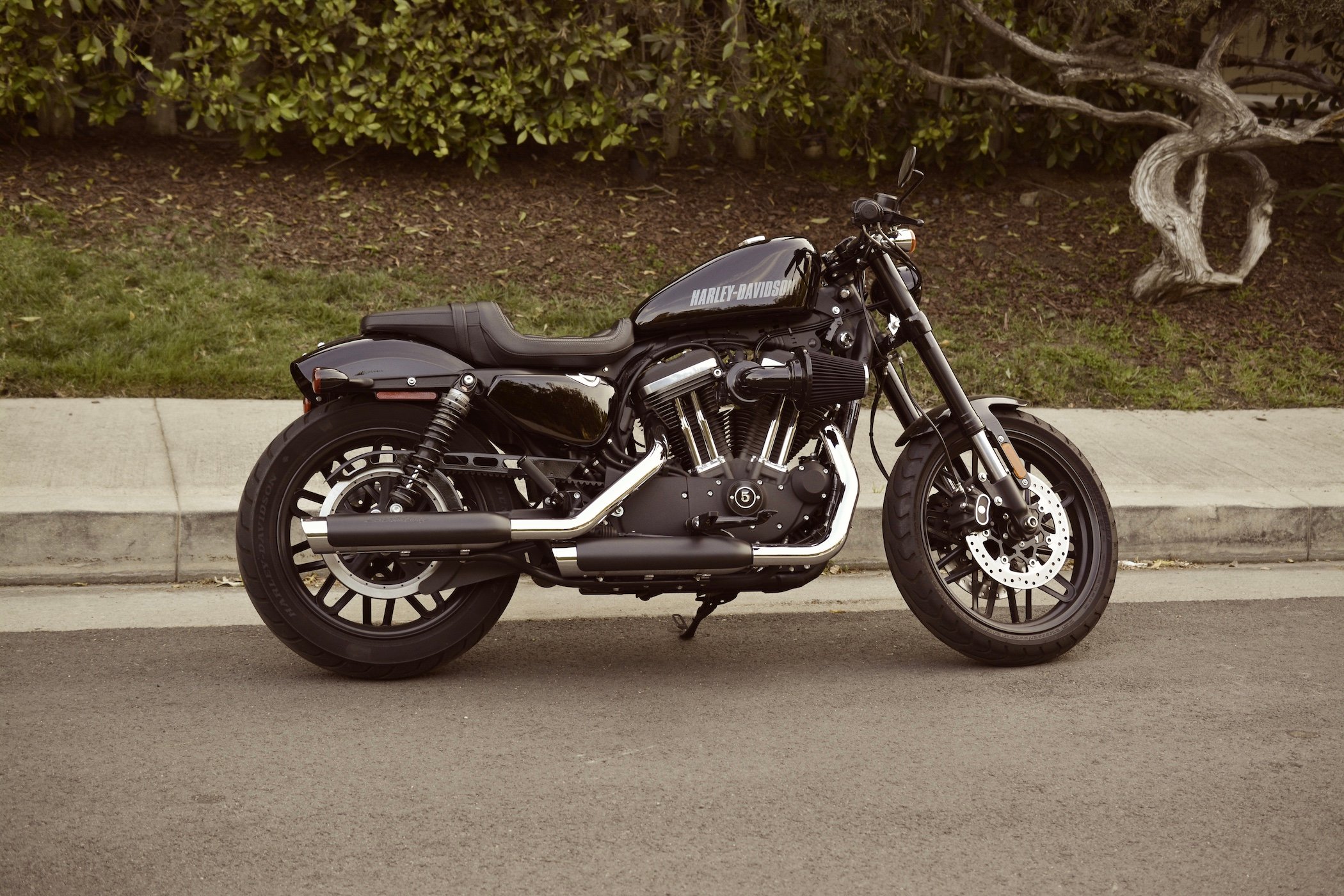 Harley davidson store motorcycle sportster