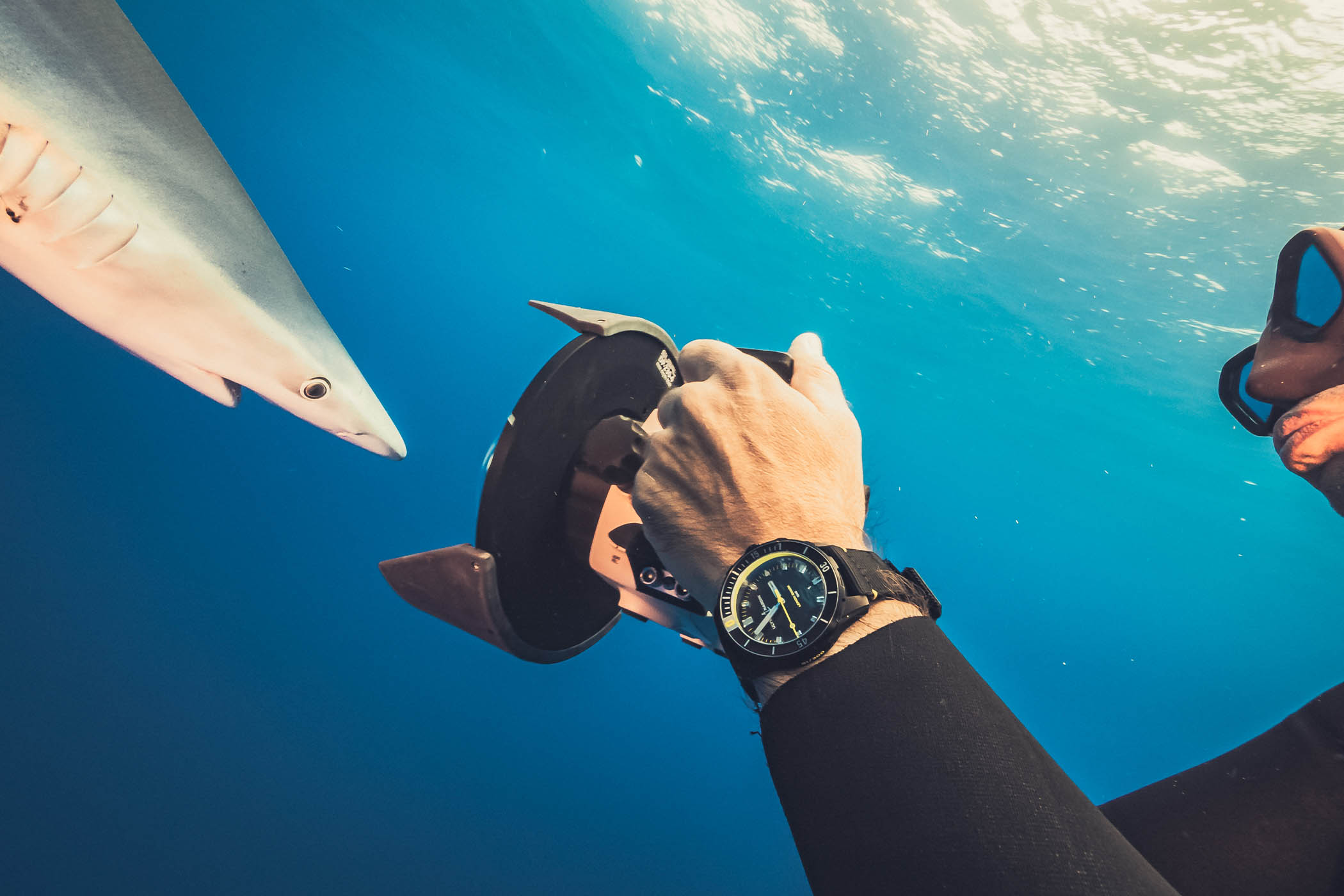 Ulysse Nardin Diver Lemon Shark Limited Edition