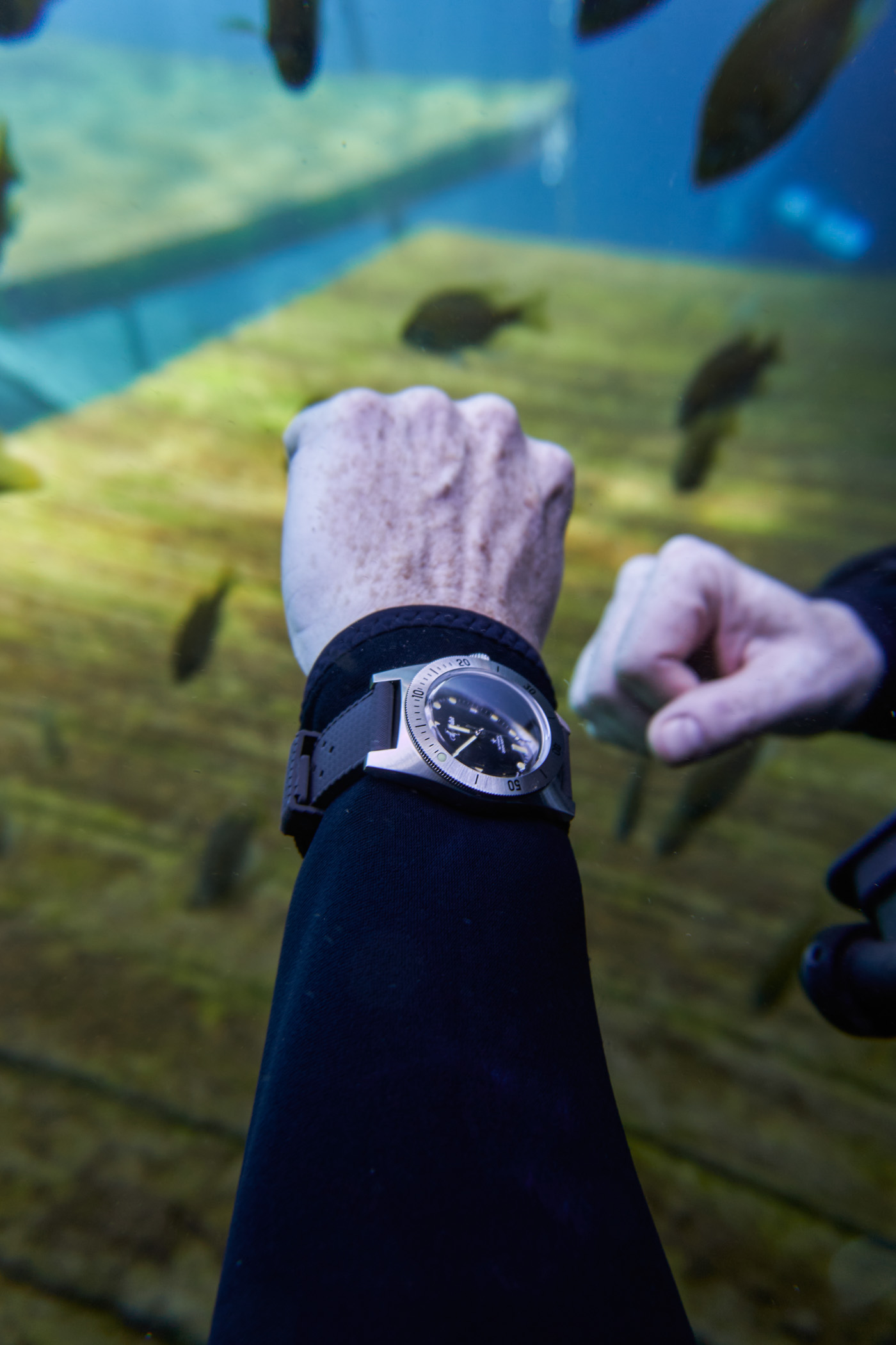 Aquastar Model 60 dive watch - underwater diving review